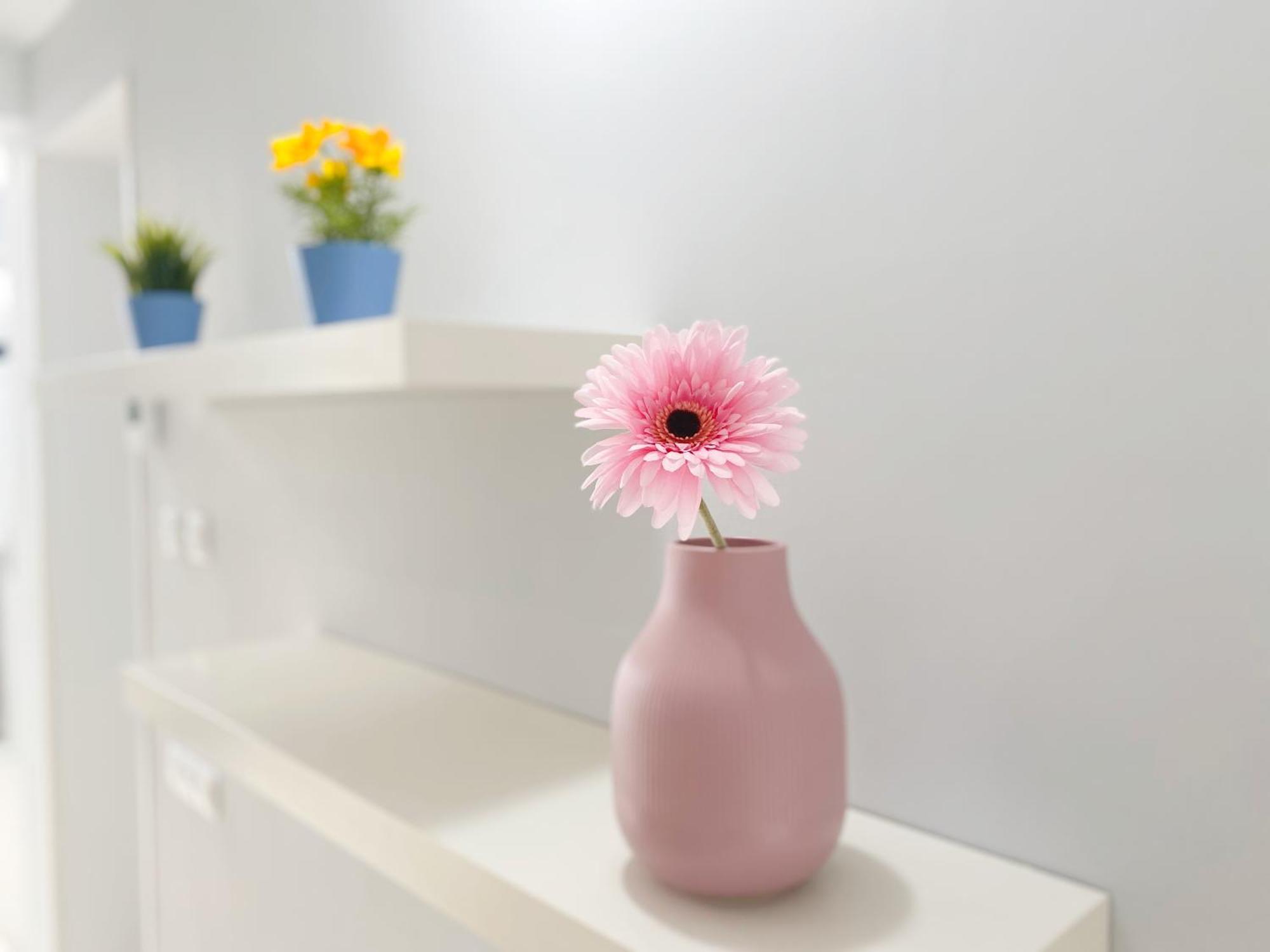 Club 14 By Pride Holiday Rentals Playa del Inglés Extérieur photo